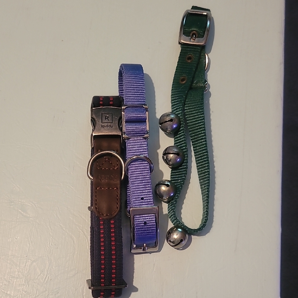 Freddy Dog Collars and Leash Set - Black, Blue, Green
